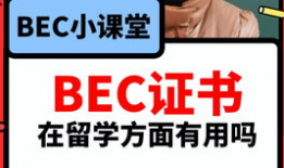 吃瓜视频爆料小说在线阅读,热门小说背后的故事