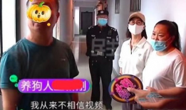 河南校园吃瓜爆料事件,揭秘校园内幕事件