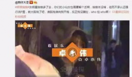 啪啪视频1000部,激情背后的故事与启示