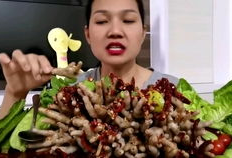 泰国吃播视频,跟随吃播视频领略地道风味