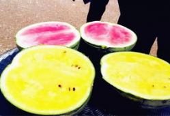 海宁吃瓜爆料公司地址,地址曝光，带你一探究竟